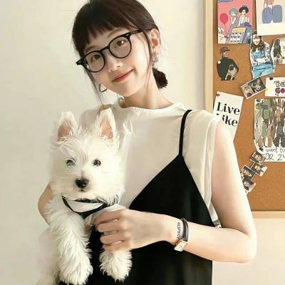 时间的桥梁海报